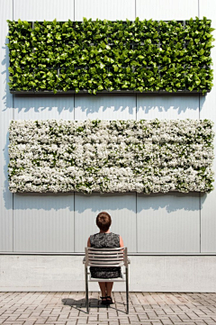ZITINO采集到architectural green wall
