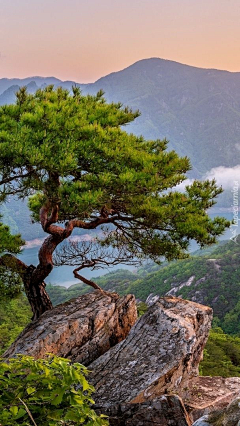 喵了个咪的昵称竟然已经存在了采集到A场景—山脉