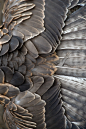 #Feathers #Texture: 