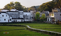 尐嫚采集到美丽乡村