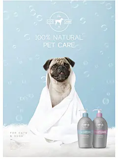 可爱宠物狗狗粮时蔬泰迪博美犬宠物周边产品展示海报PSD设计素材-淘宝网