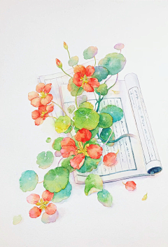 高口口采集到水彩花卉
