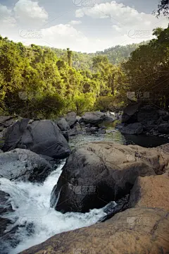 热带雨林,垂直画幅,水,天空,无人,湿,夏天,户外,棕榈树,雨林