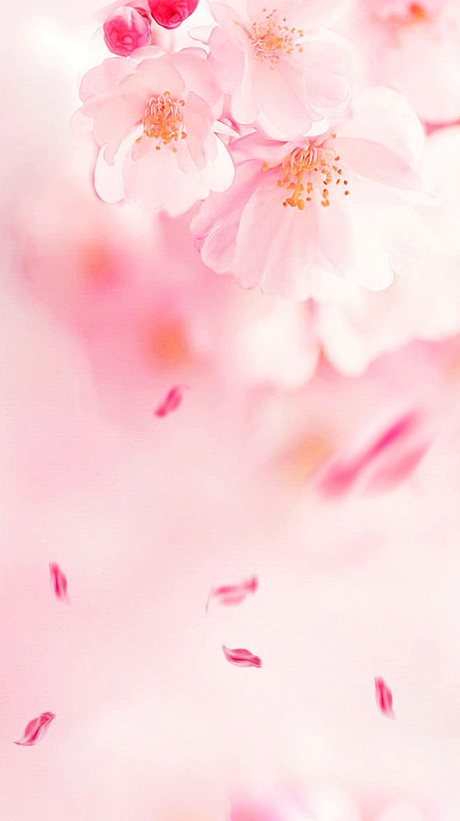 粉色桃花浪漫背景背景图_新图网