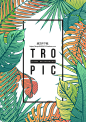 PNG免扣背景