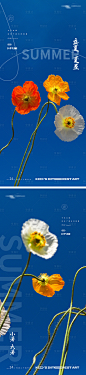 夏季花卉24节气海报-源文件