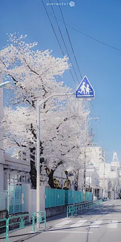 『春季限定』
今日份手机壁纸/风景壁纸/樱花壁纸/锁屏壁纸/高清壁纸/无水印壁纸/少女心壁纸/天空壁纸/神仙背景/聊天背景/
cr.overwater
