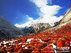 hzc0209采集到峨眉山:低碳旅游·最佳