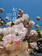 专辑|微博配图 - 微相册