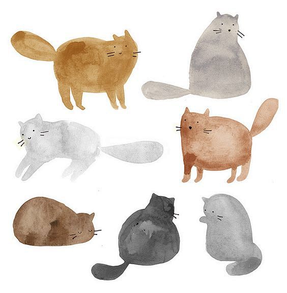 我不是特别喜欢猫...但是这些猫又蓬松又...