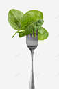 叉子叉着的绿色叶子实物 食用 饮用 元素 免抠png 设计图片 免费下载 页面网页 平面电商 创意素材