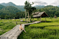 VCG41627499046