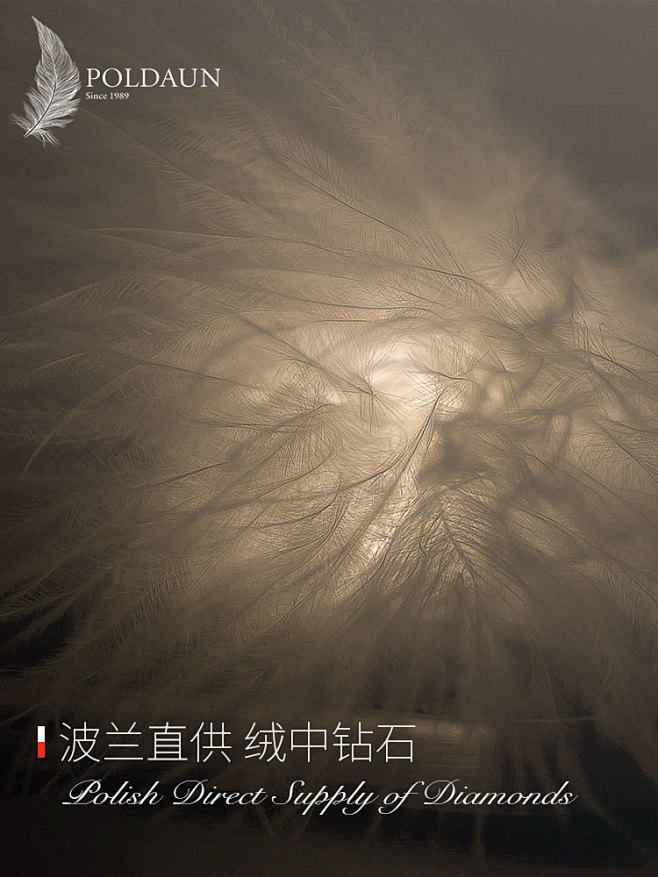 羽绒枕主图