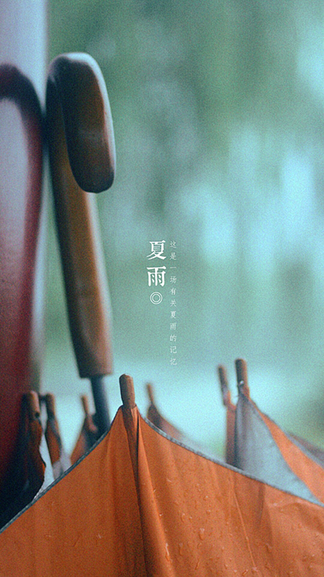 在雨中