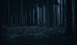 forest_stock_29_by_sed_rah_stock-d3e4jbw.jpg (3227×1899)