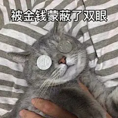 猫,表情包,被金钱蒙蔽了双眼