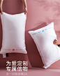 80支柔赛丝双人情侣款枕头护颈椎助整头睡眠抗菌大豆纤维枕芯单人-tmall.com天猫