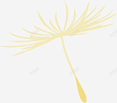 简单的鱼儿采集到蒲公英素材