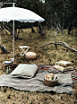 picnic