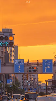 想牵着你的手，一起跑进夏日的晚风里

壁纸 ​​​​