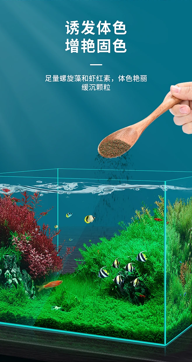 孔雀鱼饲料鱼食小颗粒红绿灯小型鱼粮斗鱼金鱼观赏热带鱼食通用型-tmall.com天猫-花瓣网