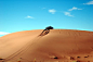 morocco-africa-desert-marroc-69797
