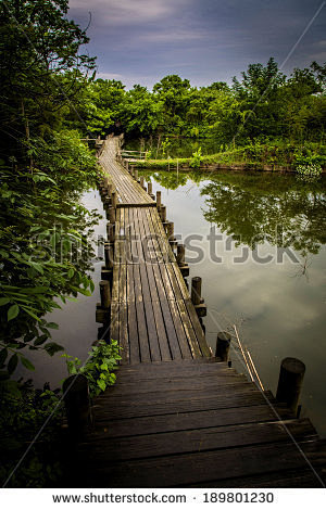 西溪湿地xixi wetland - s...