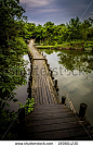 西溪湿地xixi wetland - stock photo