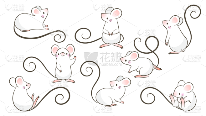 绘画插图,矢量,鼠,老鼠,动物手,卡通,注视镜头,舞台,时尚,绘制