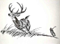 钢笔连环画旧作《鹿的感悟》_绘画吧_百度贴吧