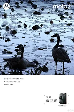 这不是摄影展流出的照片？简直太有意境！摄影师梁枫老师将美国的Borderland State Park拍出了别具一格的美感。Moto Z哈苏模块，1.55微米/像素，感光面积更大，将异国之美拍出独特的情怀。世界这么大，我想带上#哈苏看世界#！
