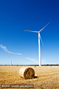 风力发电和农业
Wind Turbines and Agriculture