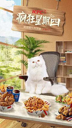 猫粮宠物海报-设计素材-shejisc.cn