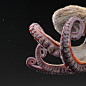 Octo, Pedro Pereira : Octopus textures and look dev - personal project
Scroll down for close-ups