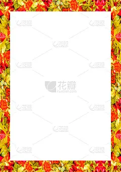 白色框架与彩色装饰边缘