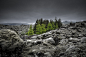 Hidden Forest by Garðar Ólafsson on 500px