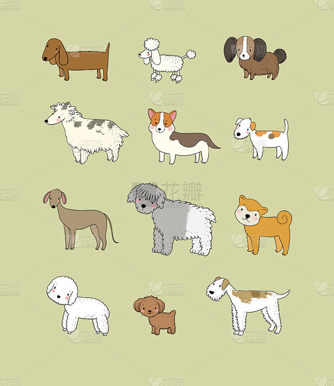 Cute cartoon dog breeds. Happy animals.