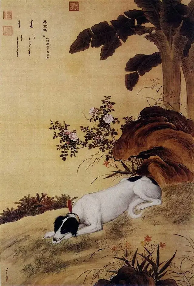 郎世宁画狗)-花瓣网