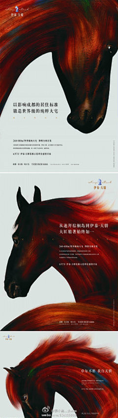 J~un采集到赛马