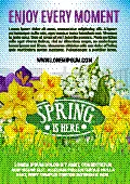 春天,水仙花,花束,节日,黄色,请柬,季节,问候,庆祝
