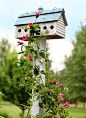 birdhouse