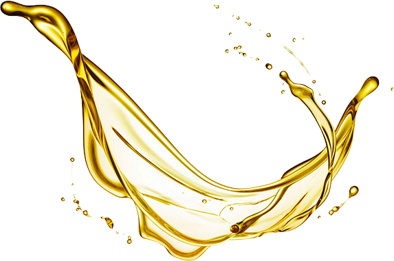 橄榄油图片PNG免抠素材 食用油