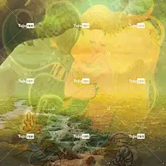 美人鱼 母亲 自然 爱 水 景观