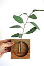 Wooden vase square test tube vase table top vase vase