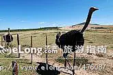庄严的林肯纪念堂, 走走看看旅游攻略