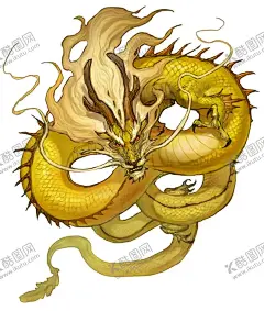 金龙 【酷图网】金龙,金色龙,龙,浮雕龙,双龙戏珠,龙纹,龙图腾,免扣龙纹,免扣龙,龙素材,龙插画,