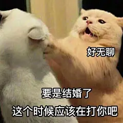 喵喵/表情包
