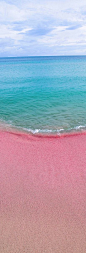 Pink sandy beaches in Barbuda !!! I really wanna go here..