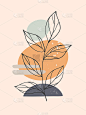 现代抽象矢量插图与有机各种形状和植物线条艺术
