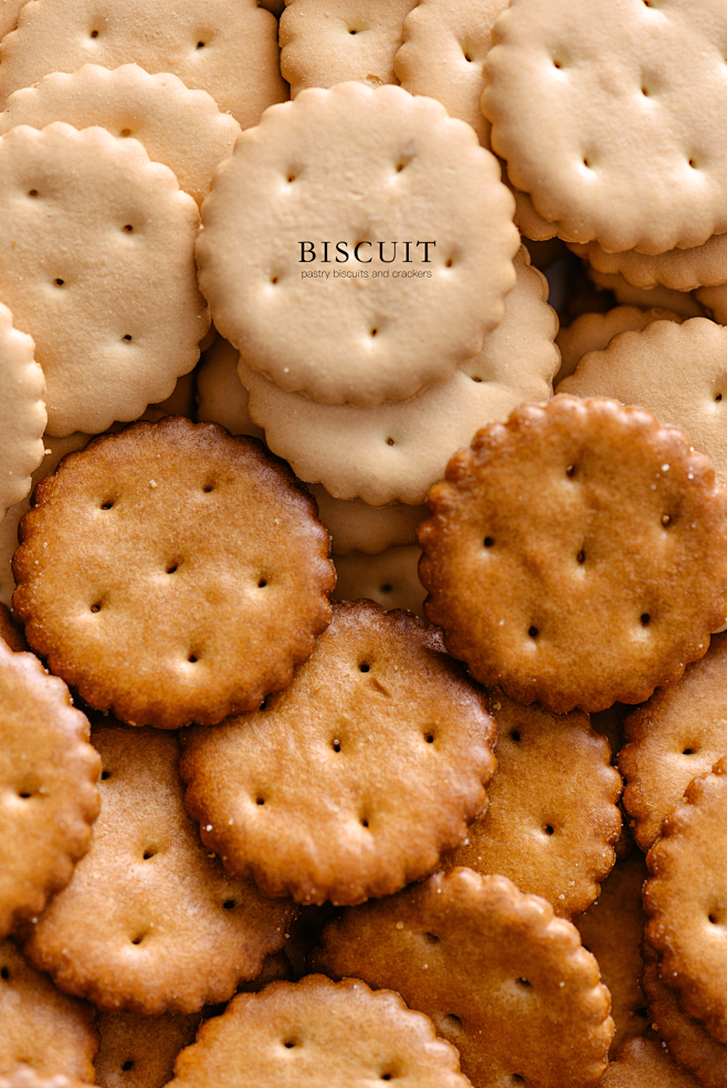 biscuitbiscuitphoto